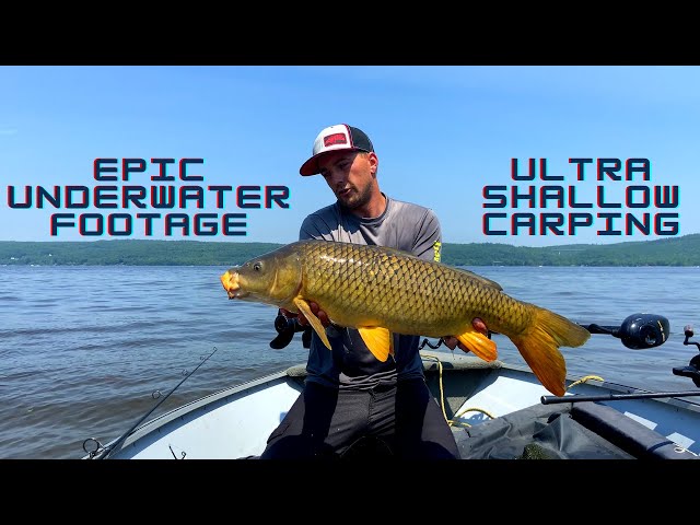 Carp Fishing the Ottawa River From the Boat ( Amazing underwater Action) 