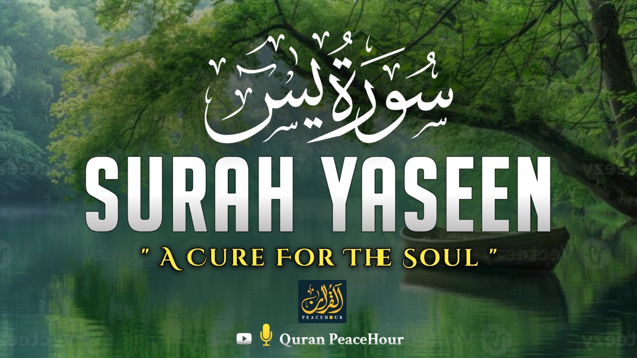Surah Yaseen | سورة يس | Peaceful Quran Recitation to Relax the Heart and Strengthen Faith