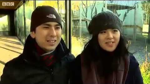 Edinburgh Zoo pandas  Celebrate one year in Scotland.