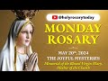 MONDAY HOLY ROSARY 💛 MAY 20 2024 💛 THE JOYFUL MYSTERIES OF THE ROSARY [VIRTUAL] #holyrosarytoday