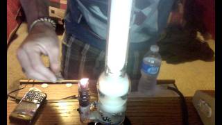 DWB STEMLESS SNAP