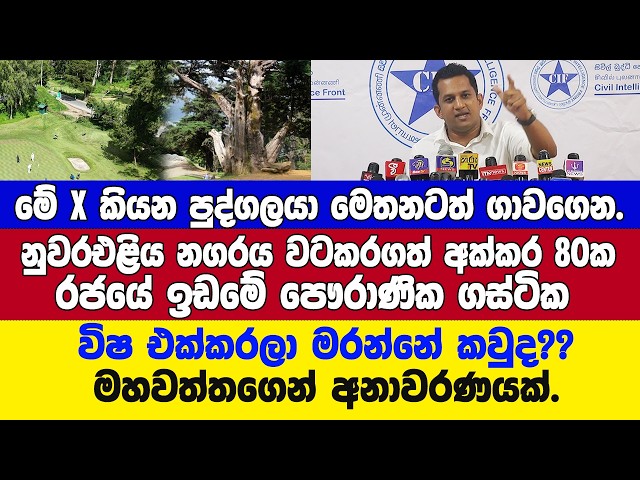 පොලිස් පැමිණිල්ලත් යට යන ලකුණු?-නුවරඑළිය අක්කර 80 රජයේ ඉඩමේ පෞරාණික ගස් ටිකට කරන විනාශය ගැනඅනාවරණයක්