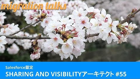 Salesforce認定 SHARING AND VISIBILITY アーキテクト #55