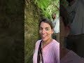 NUEVA ZELANDA 🇳🇿 Día 33