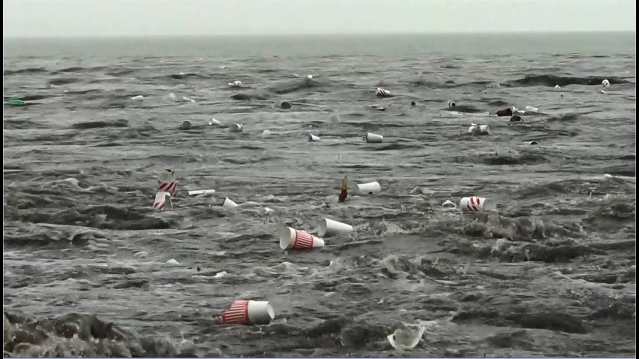 All The Cups - by Jack