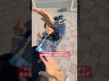 すっぴん撮られたくなくて、総合格闘技みたいになる女。
