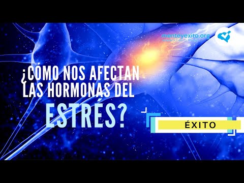 Video: Cómo Nos Afectan Las Hormonas