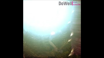 Blight Ate a Blast Mine and Then a Flashbang 💀