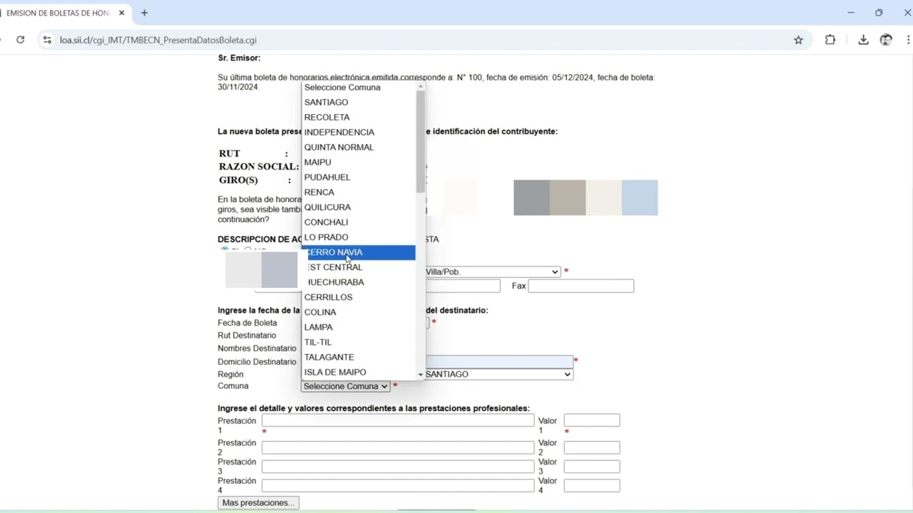 Emision Boletas de Honorarios - Grupo Alcansa