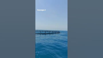 construction of fish farms in cages  seacage