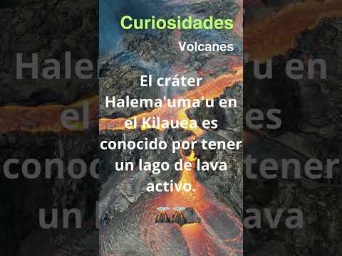 datos curiosos de