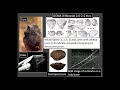 CARTA Presents The Origins of Today's Humans - Paola Villa, The Archaeology of Ancient Tools