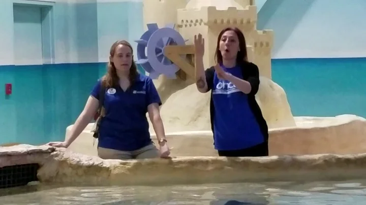 Interpreting at the Aquarium!
