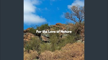 Pulsating Ambiance for Limitless Eras