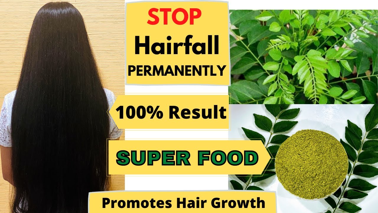 Curry Leaf Powder For Hair Growth Curry Leaf Powder Recipe in English