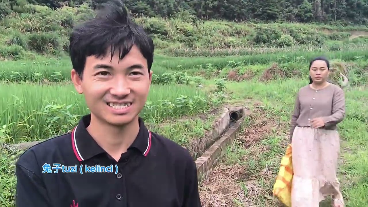 Rp 2.300.000 Hasil Panen Timun Hari ini Alhamdulillah