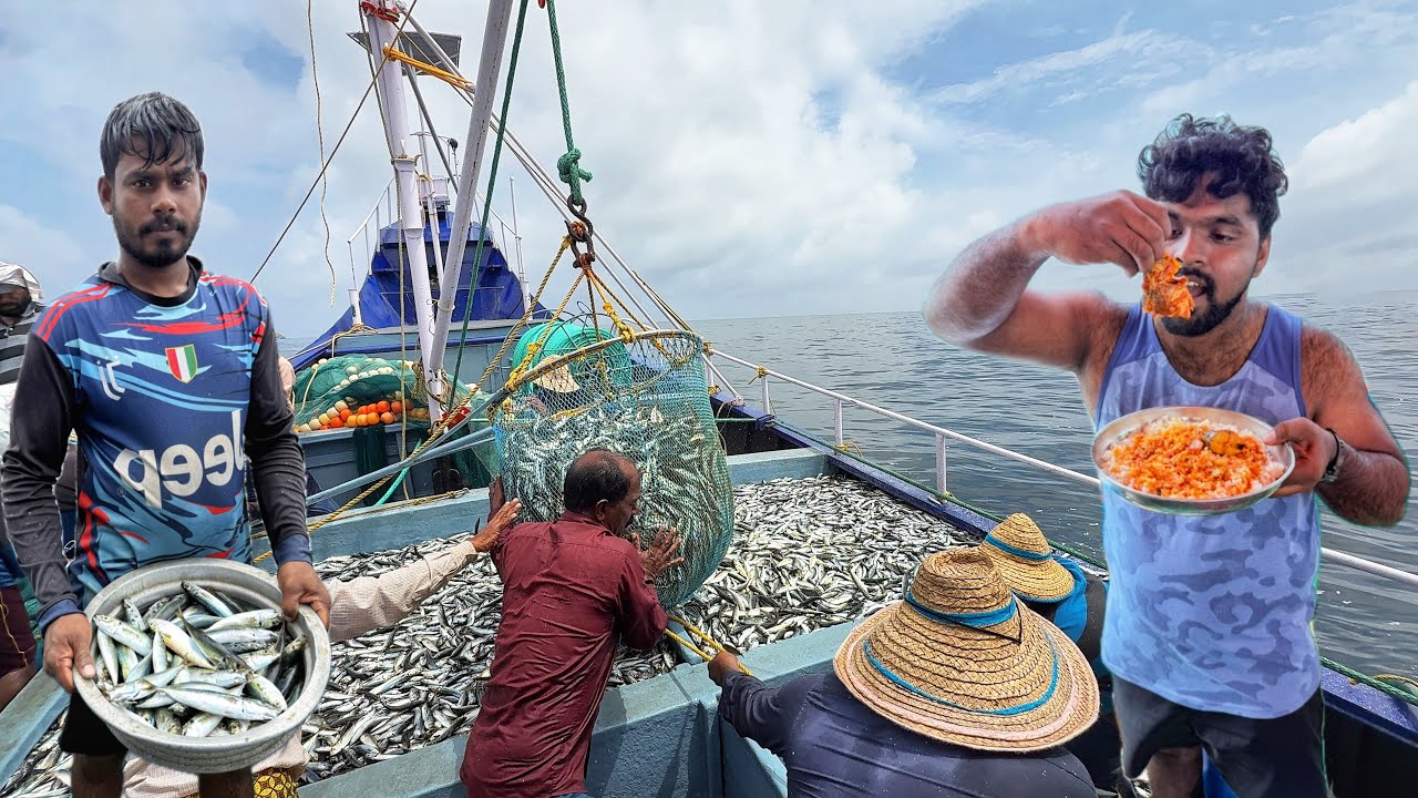 Wow🤩 Ton of Jack Mackerel Caught in Purse Seine | Deep Sea Catch & Cook 