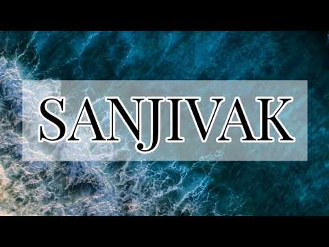 Sanjivak- organic nutrient