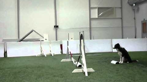 Agility jumping: set point