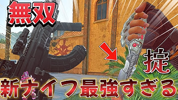 【デルタフォース】北極星を超えた新ナイフ掟「信条」性能最強すぎた！