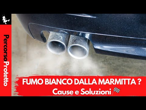 Video: Come dovrebbe essere il fumo di scarico?