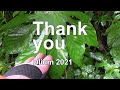 Thank you ǀ Dlium 2021