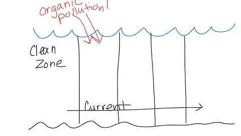 Oxygen Sag Curve and BOD