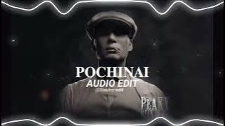 Ela Pochinai Pochinai full song ( tiktok edits )