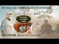 Wir Beten Live Familien Zönakel Mit Weihe An Das Unbefleckte Herz Mariens Für Frieden In Der Welt