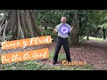 Nueva Serie de TAI CHI & QI GONG fácil pero PODEROSA