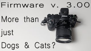 Firmware version 3.00 for Z6 / Z7 Animal Eye AF... for MORE than just dogs and cats?