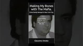 Alleged Bonanno Jack Amato Exposed In Book Review#mafia #gotti #sammygravano #gambino #crime