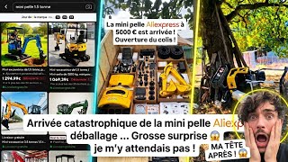 Minipelle Aliexpress Rippa R319 4600 Arnaque, Opportunité Ou Gros Jouet ?