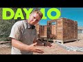 30 Days to airbnb my shed - day 10