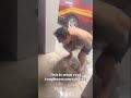 Gotta get this video scrubbed off the internet (trevorclark4/ig)