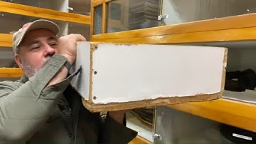 Dropped an Entire Clutch of Snake Eggs?!?!