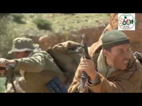 أنشودة يحيا جيش بلادي للفنان الشيخ سلطان