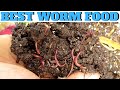 What to Feed Worms: Vermicompost Made EASY