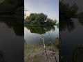 Рибалка на річці Горинь на фідер #рыбалканафидер