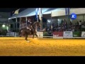 XLI Campeonato de España Doma Vaquera - Jose Antonio Rodriguez &quot;TRAILLERO&quot;