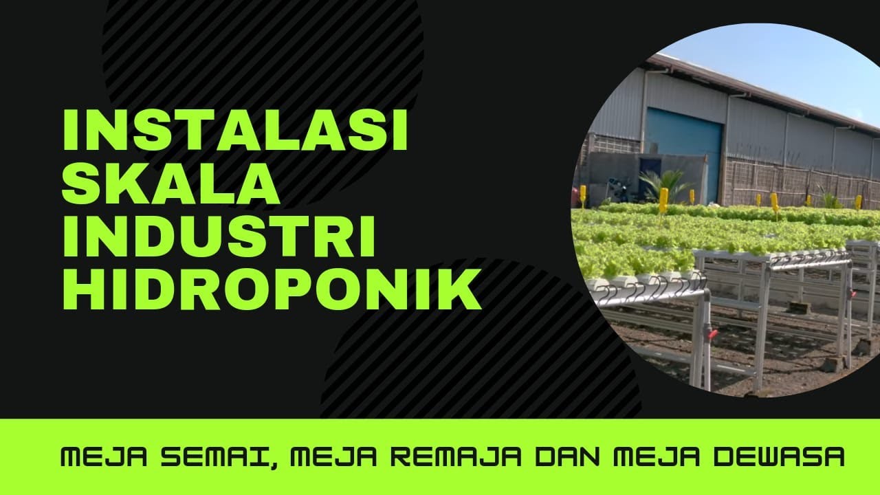 INSTALASI HIDROPONIK SKALA INDUSTRI