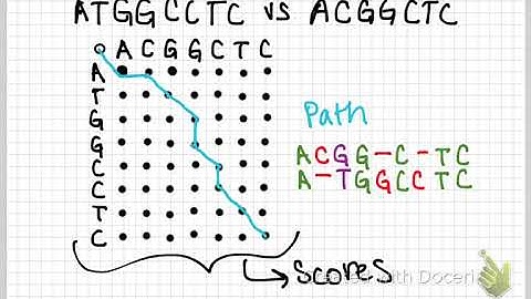 global sequence alignment
