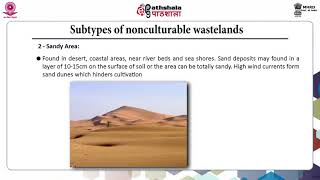 Wasteland