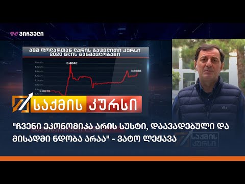 \"ჩვენი ეკონომიკა არის სუსტი, დაავადებული და მისადმი ნდობა არაა\" - ვატო ლეჟავა საქმის კურსში