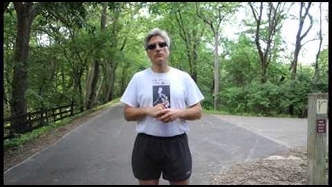 Video: Survive the wrath of summer bug bite