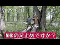 【尾瀬】NHKさん!歩荷さんも足止めですか?