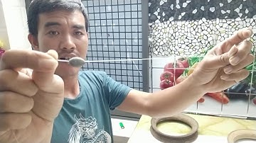 Câu cá Ngạnh sông/bật mí bí quyết/điều kiện cần & đủ khi câu sông phần 01