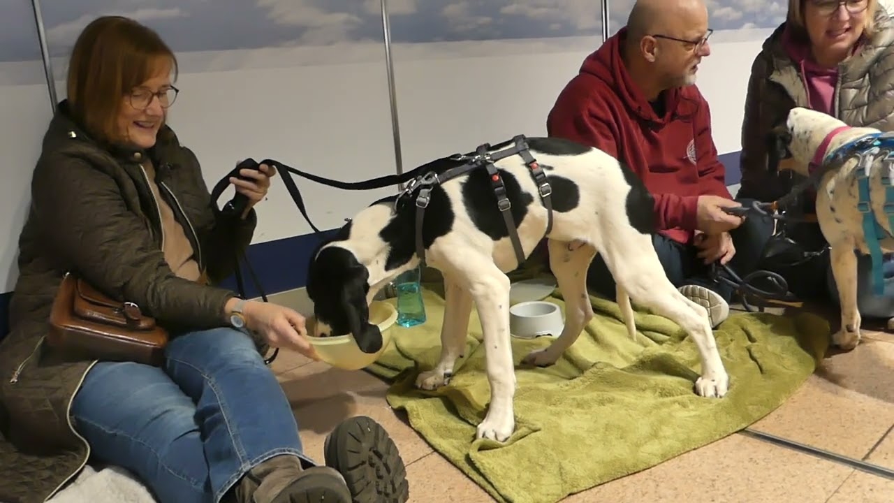 Ankunft in Hamburg am 23.2.2025