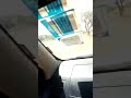Swarm of locusts hits Kenya