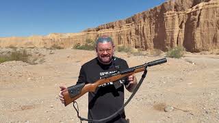 Sheep in Wolfs Clothing Mini-14 That Shoots Like a 10-22